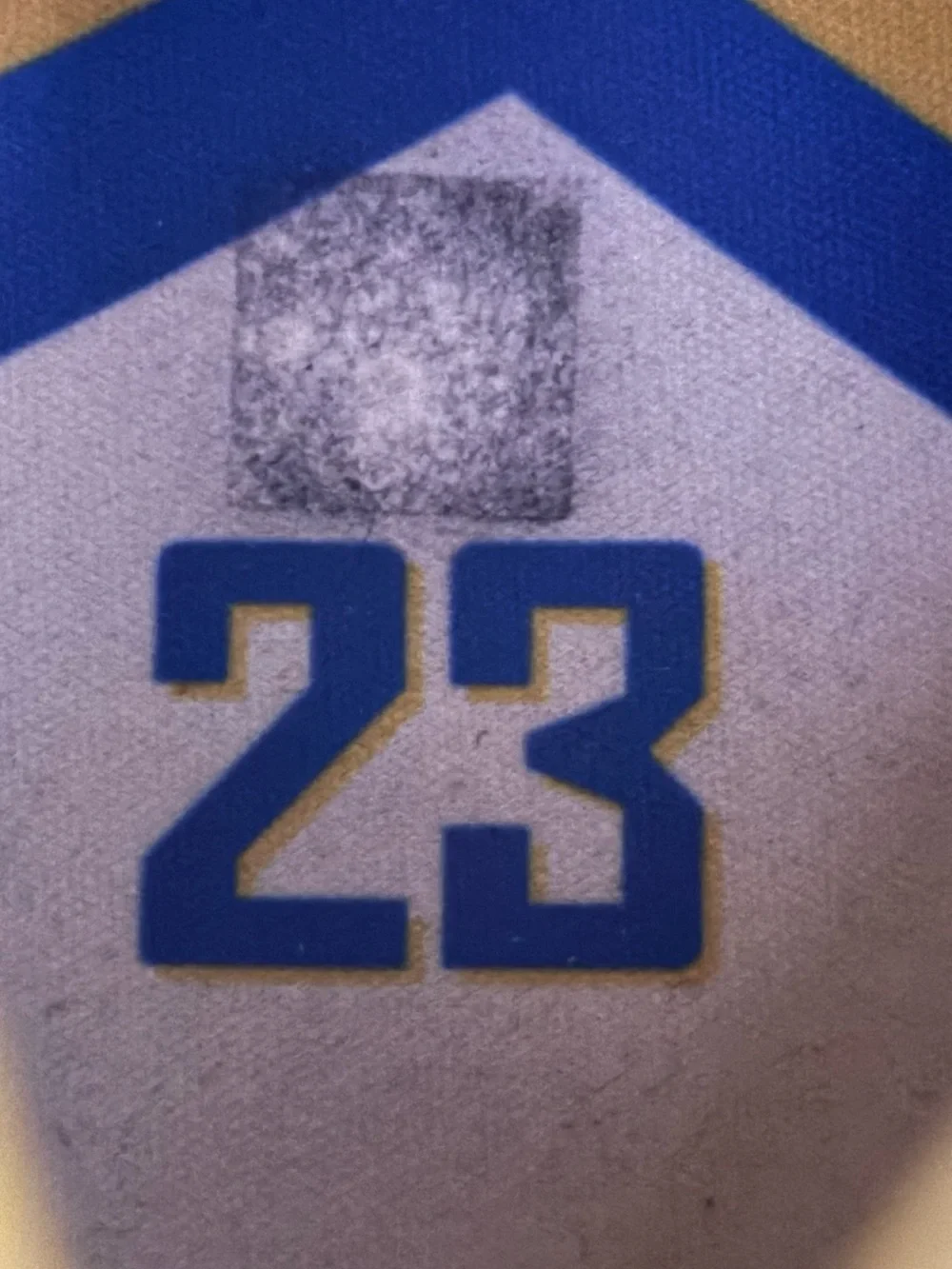 Jordan 5 Retro Laney 2019 Size 12